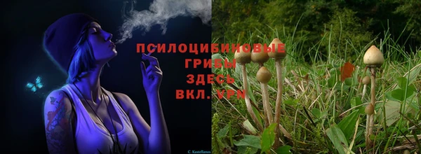марки nbome Алзамай