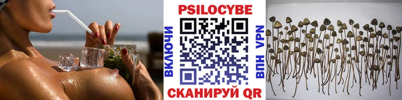 Псилоцибиновые грибы прущие грибы  hydra вход  Истра 